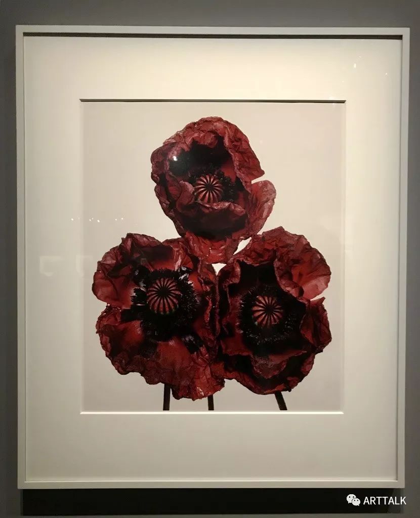 世界摄影界的读心大师irvingpenn