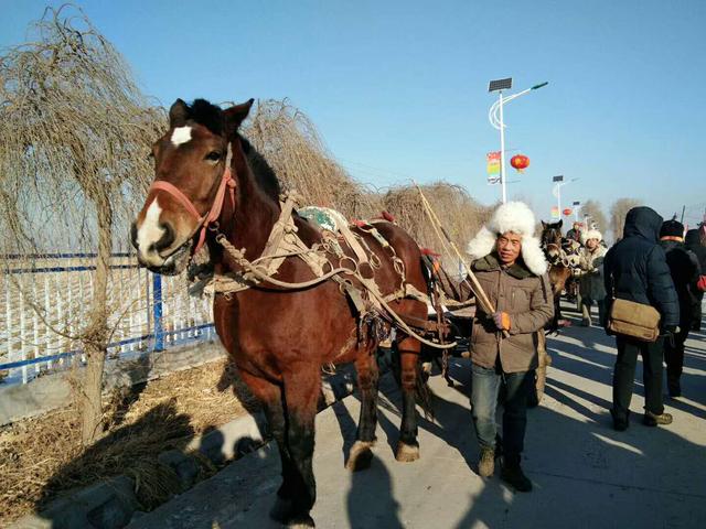 东北三大套马车图片图片