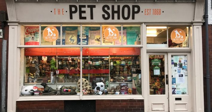 【节奏牛津阅读树】第一阶段 the pet shop
