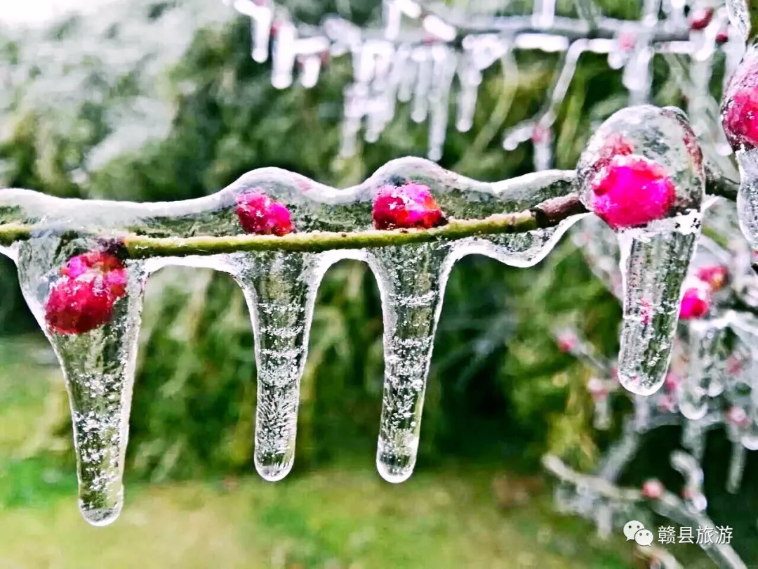 赣县宝莲山雪景图片