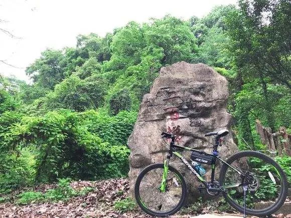 如今,除了作为上山的要道,歌乐山三百梯也是徒步登山爱好者,骑行爱好