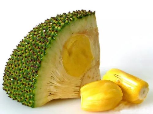 jack fruit(菠萝蜜)