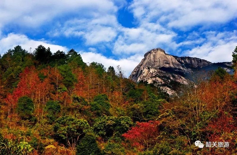 万莉△新丰樱花峪 张仕荣/摄 如果你正好有空 请你来新丰 我在云髻山