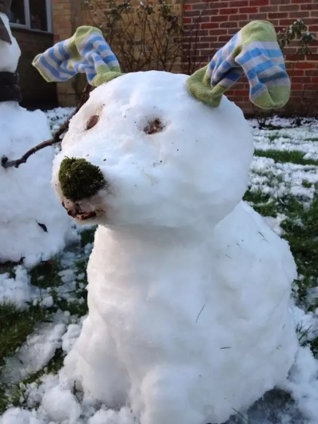 搞笑 正文 最近很多地方不是下雪了嘛 知道大家都愛玩雪 可這些雪人