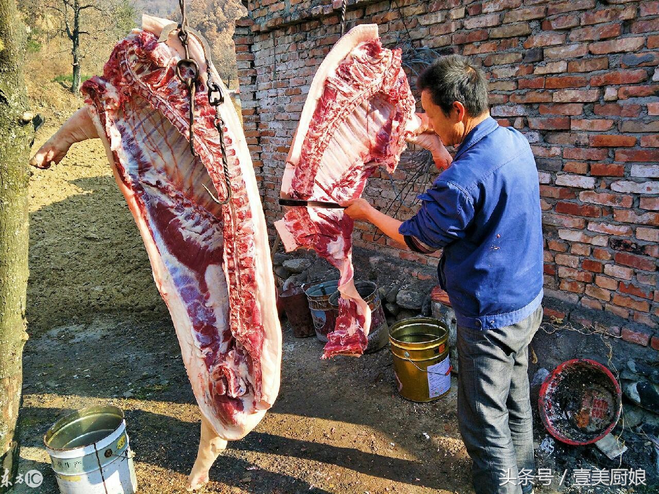 農村殺年豬場面震撼 城裡人一輩子吃豬肉 沒吃過殺豬飯