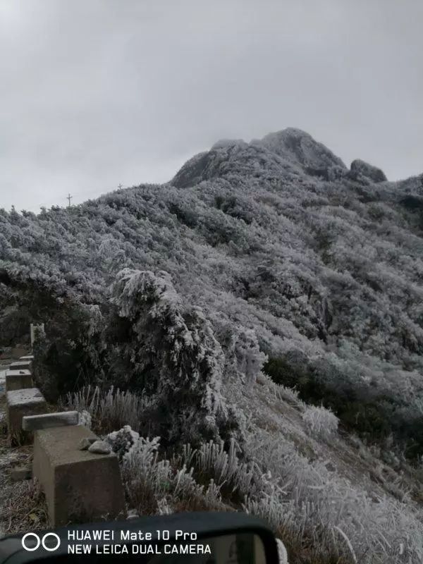 同样在1月29日上午,网友胡绍敏在金鸡山拍摄的一组雪景,实实在在惊艳