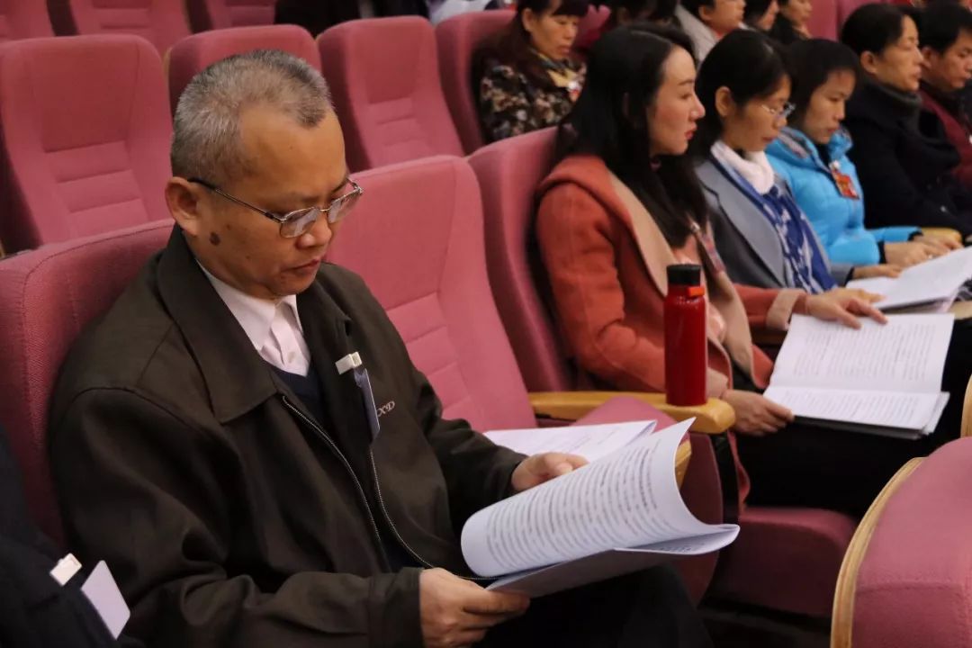 林田参加崇左市第四届人民代表大会第三次会议"对行