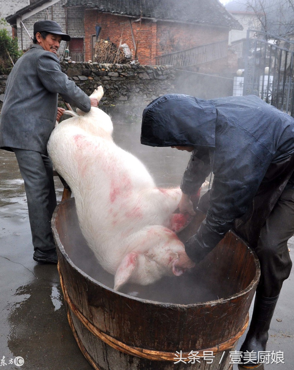 农村杀年猪场面震撼 城里人一辈子吃猪肉 没吃过杀猪饭