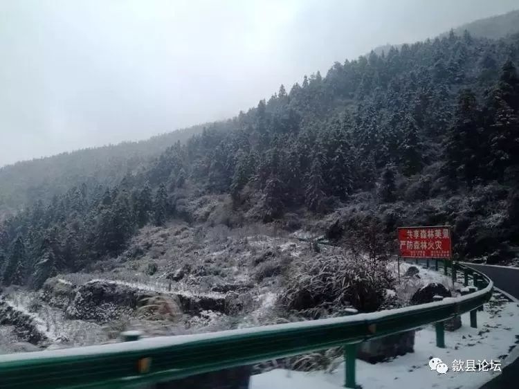 歙县:雪后长陔岭美的不像话.