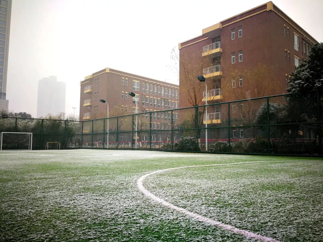 镇海区实验小学图片图片