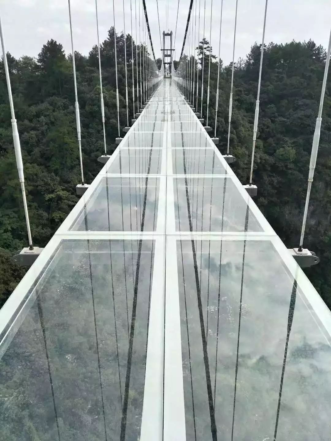 吓到腿软!离福州不远惊现全国首座全息7d玻璃天桥,2月1日起试行!