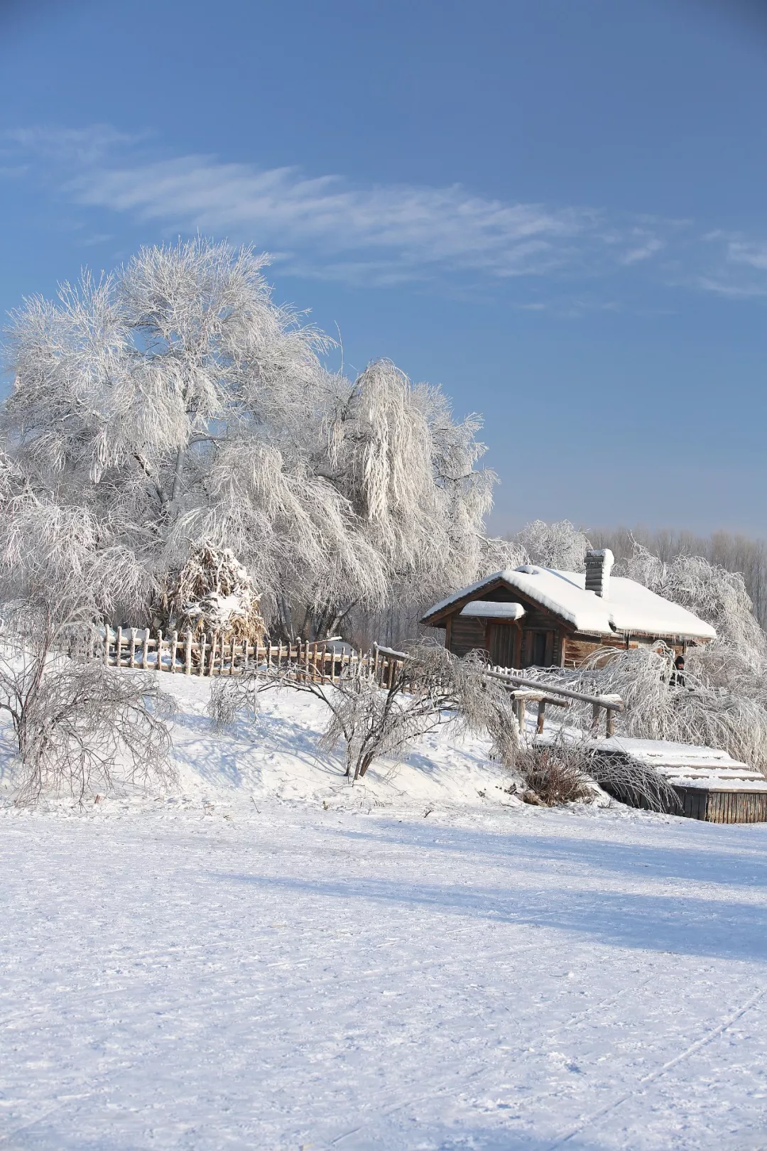 微信冬天雪景图片图片