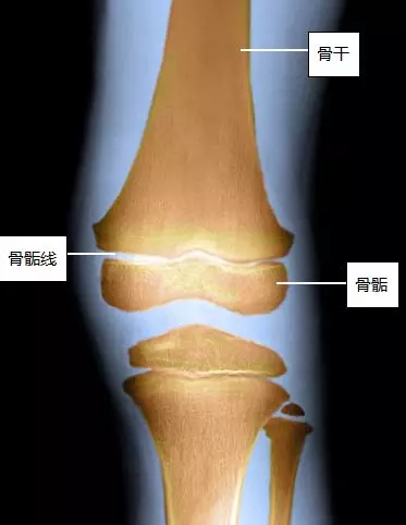 做好这几点