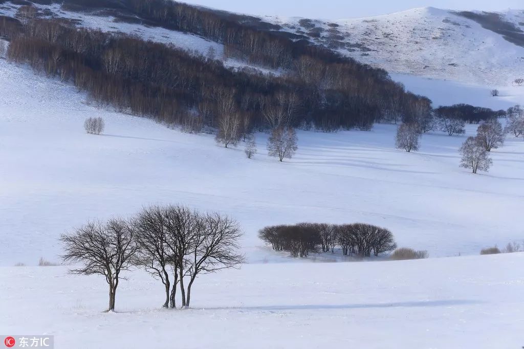 林海雪原!