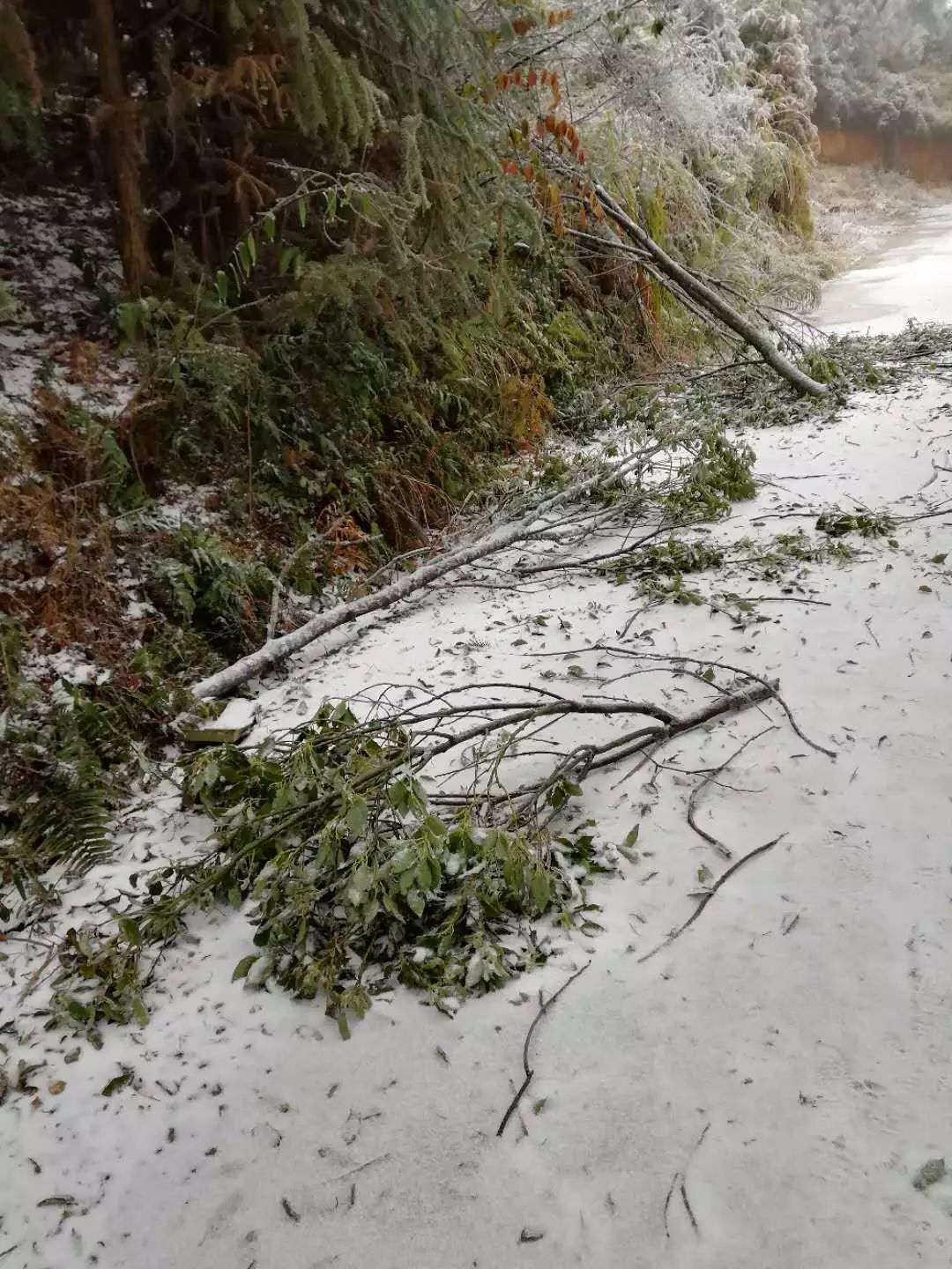 注意了因雨雪天氣麻姑山暫停對外開放開放時間