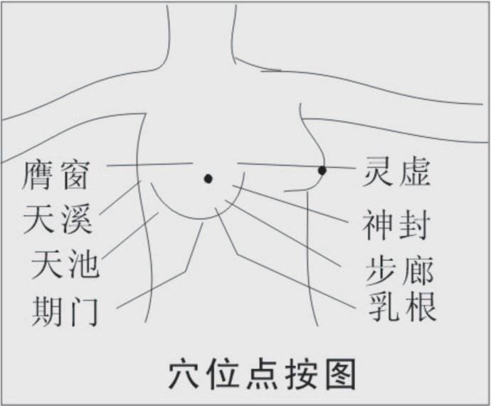 乳房九大经络乳腺图片
