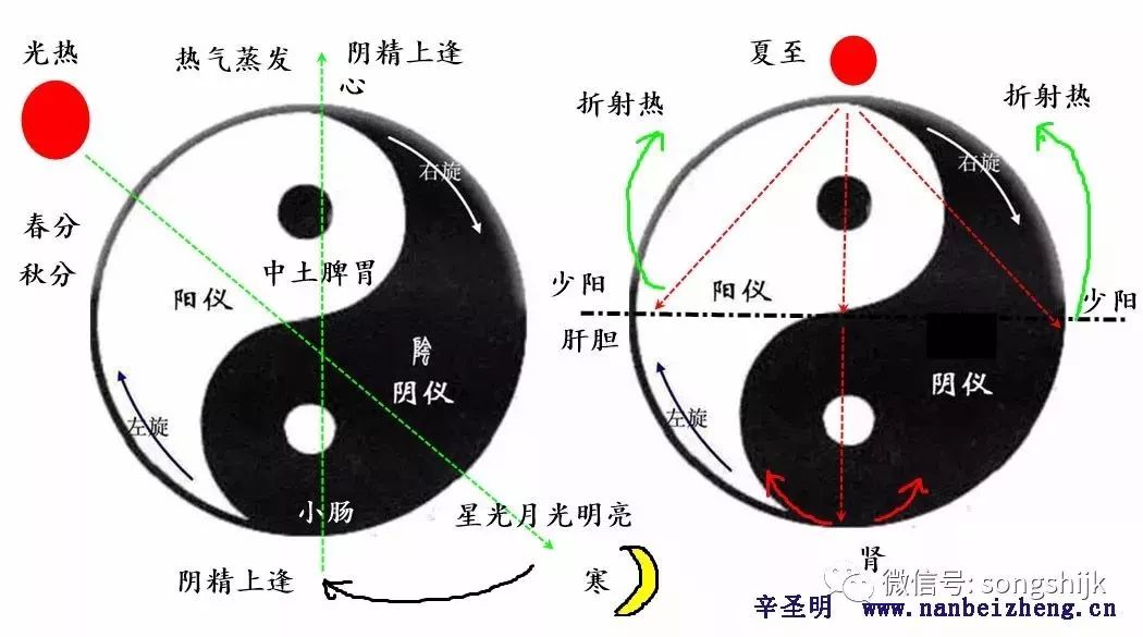 心有二火是中医的关键相火分阴阳