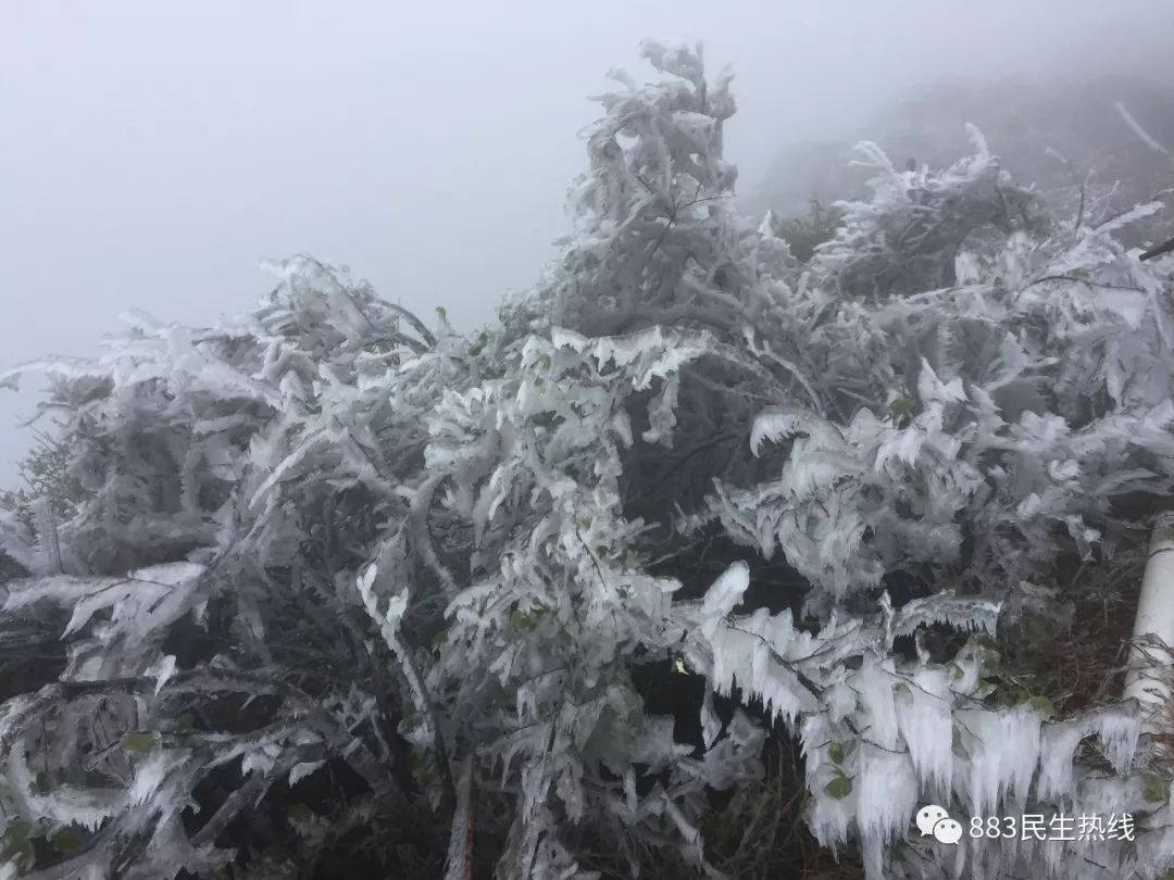 五百多人今天上高明皂幕山赏雪景