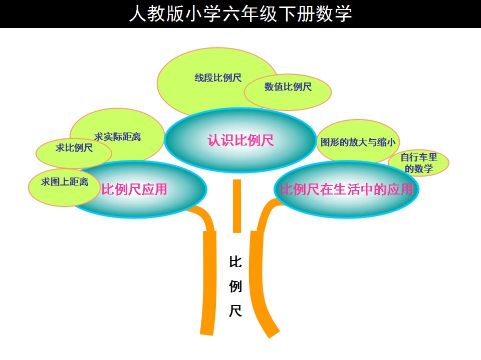 寒假预习人教版小学六年级下册数学知识树