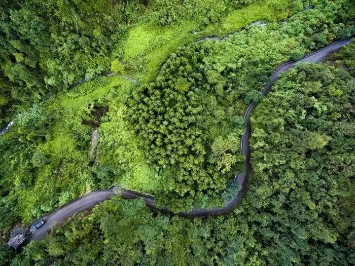 山下湖鎮新桔城村,江藻鎮吳墅村,五洩鎮十四都村,應店街鎮紫閬村,馬劍