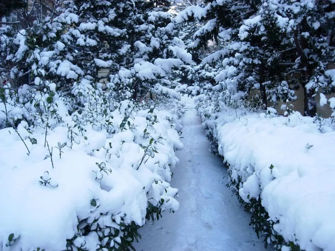 培合之聲▏下雪天你會想起誰