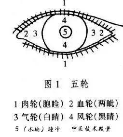 天筋在什么位置图片图片