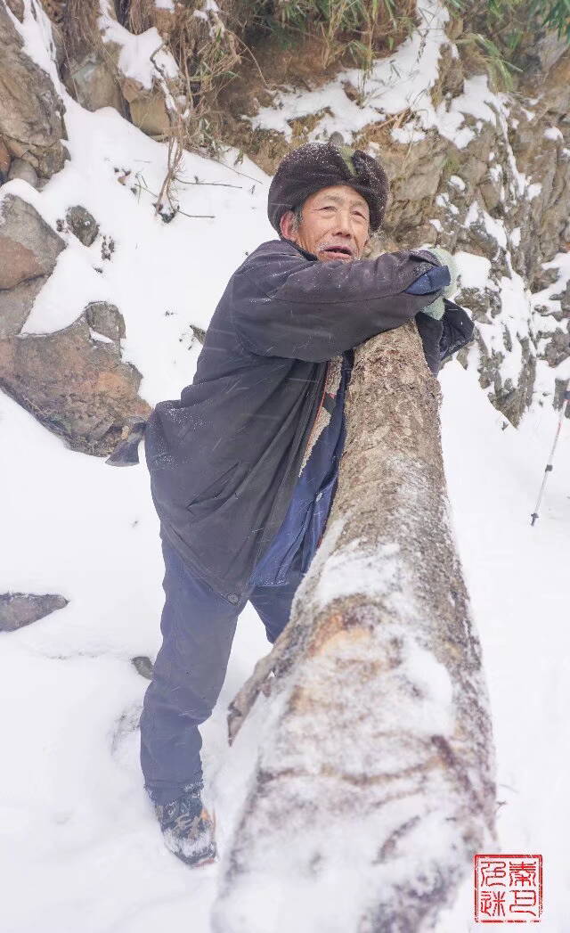 汉中宁强81岁老人雪中扛木头在崎岖山路