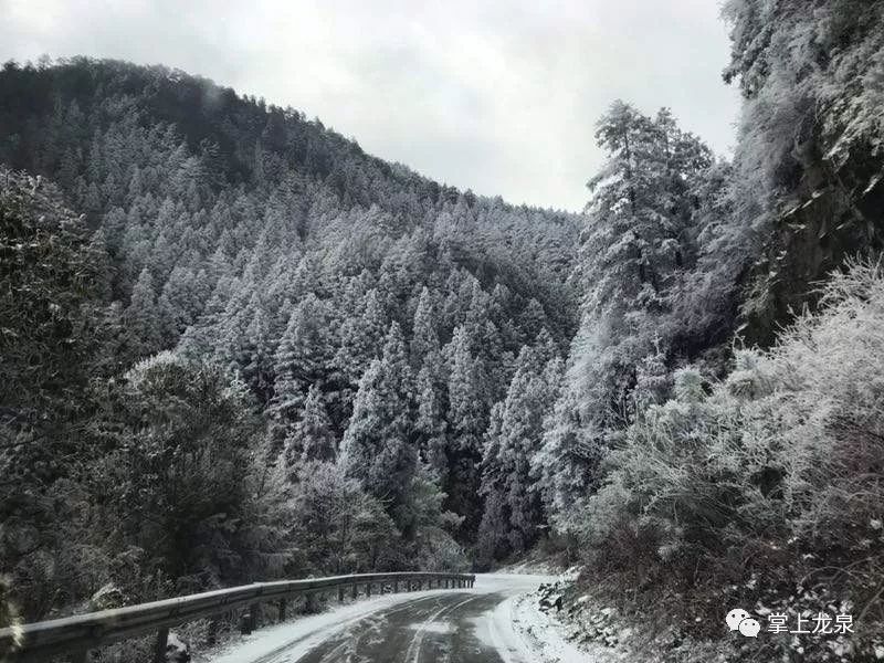 下雪啦!龙泉终于下雪啦!