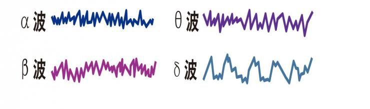 β波:大脑使用β波有意识地在不同的信息之间切换