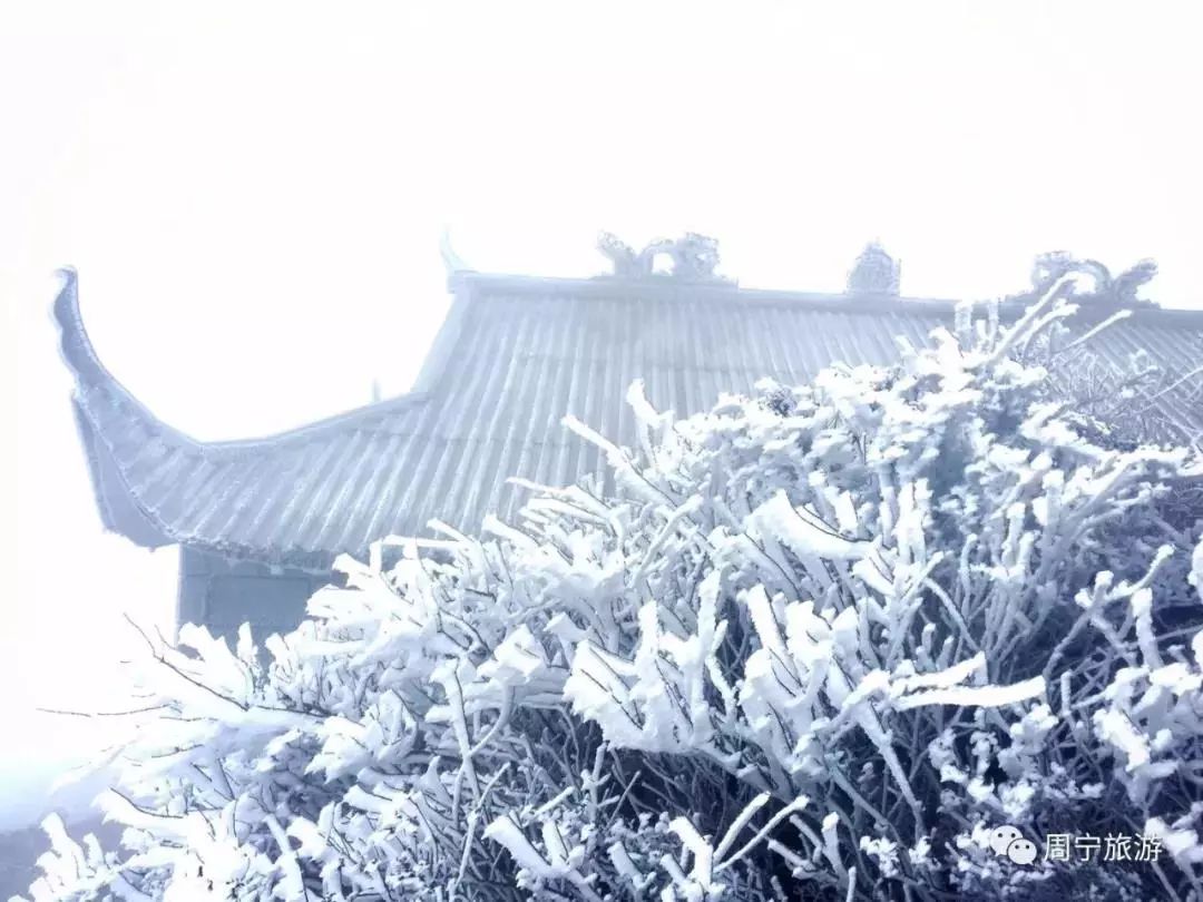 周宁仙风山下雪图片