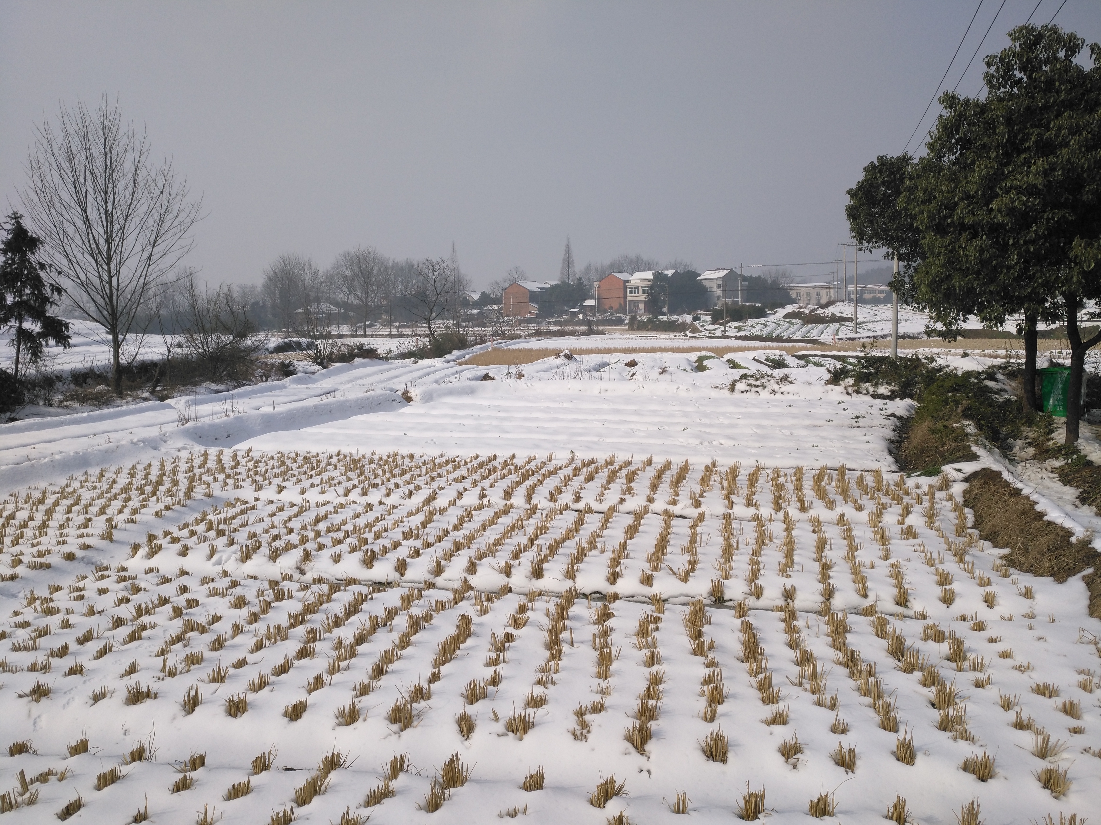 安徽铜陵枞阳官埠桥镇镇雪真美欢迎大家来赏雪