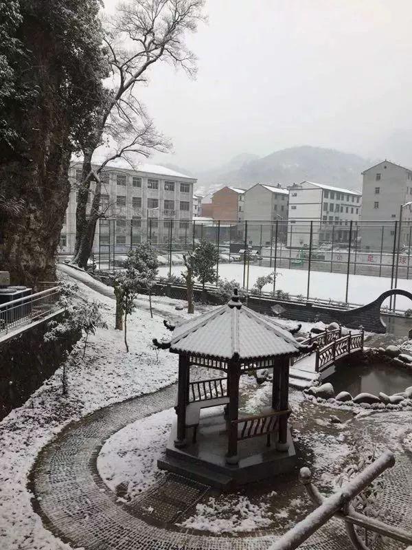 兰溪市蜀山中学:已是悬崖百丈冰, 犹有花枝俏兰溪市黄店小学:和雪人一