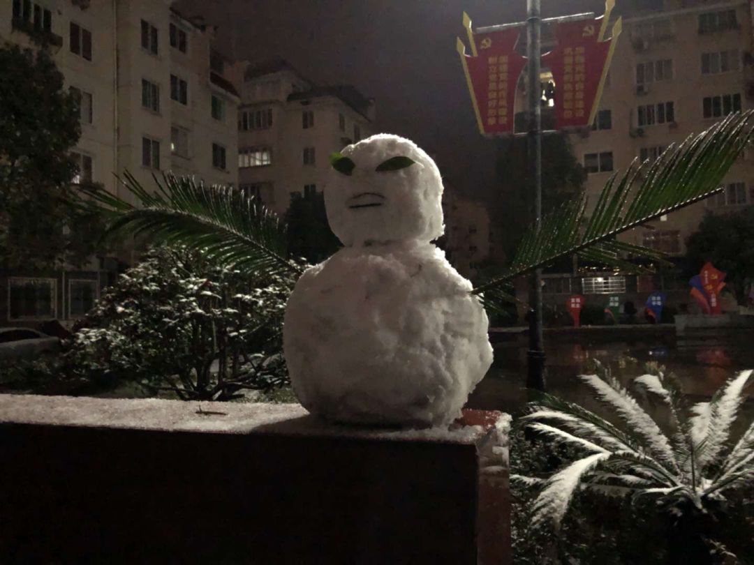 偶练大厂下雪图片图片