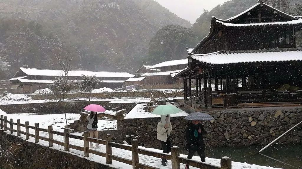 今天上午岩坦镇暨家寨大雪纷飞 嘉好 摄鹤盛镇的溪边 叶盈盈 摄岩头镇