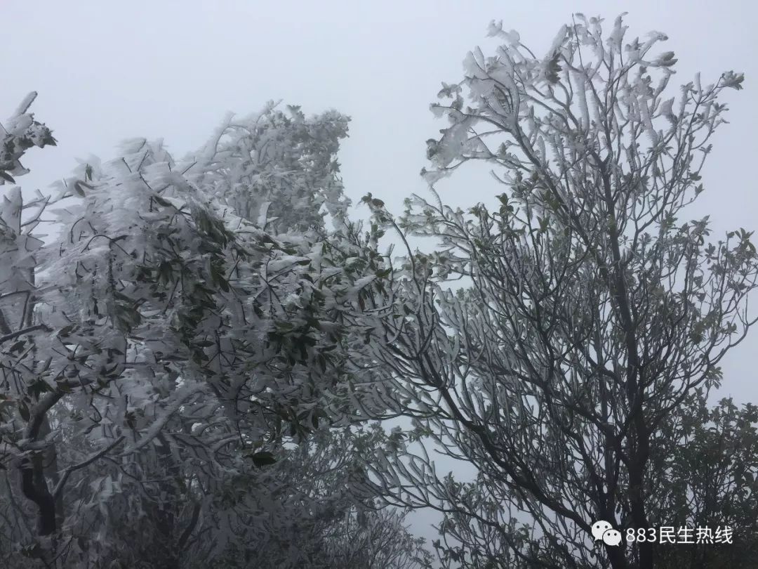 五百多人今天上高明皂幕山赏雪景