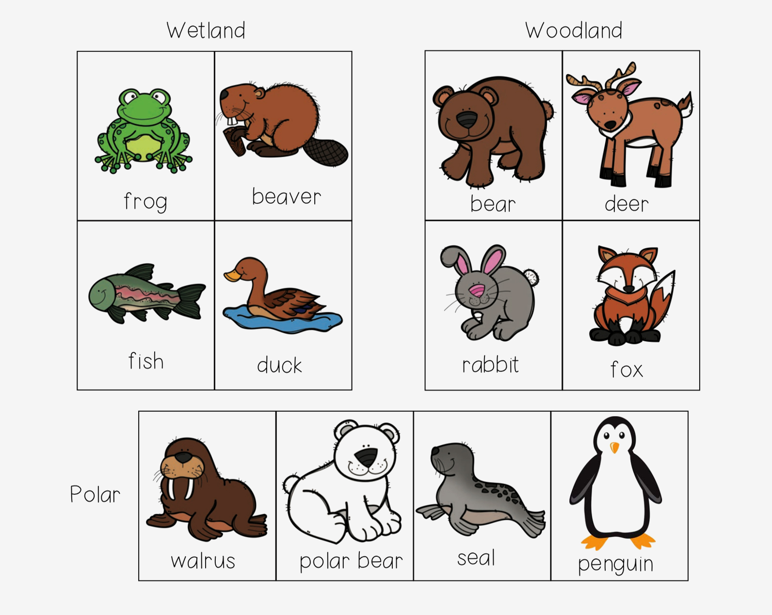 动物单词卡简笔画图片