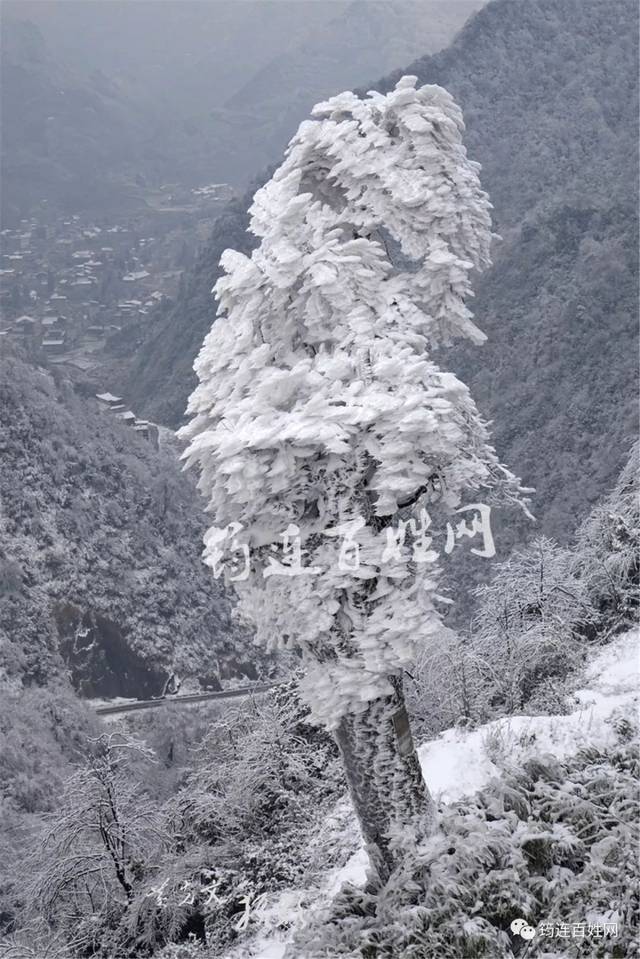 筠连大雪山图片图片