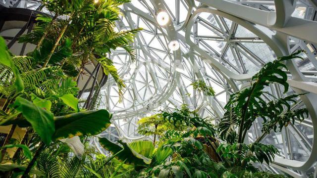 亚马逊总部的巨大球体温室花园