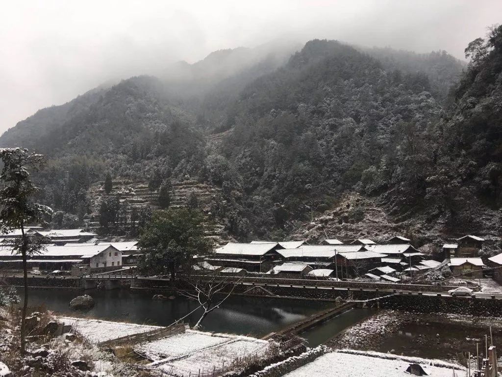 界坑乡坑口村 金耀旭 摄界坑乡界鸟村 高山人 提供桥头镇桥头镇某山村