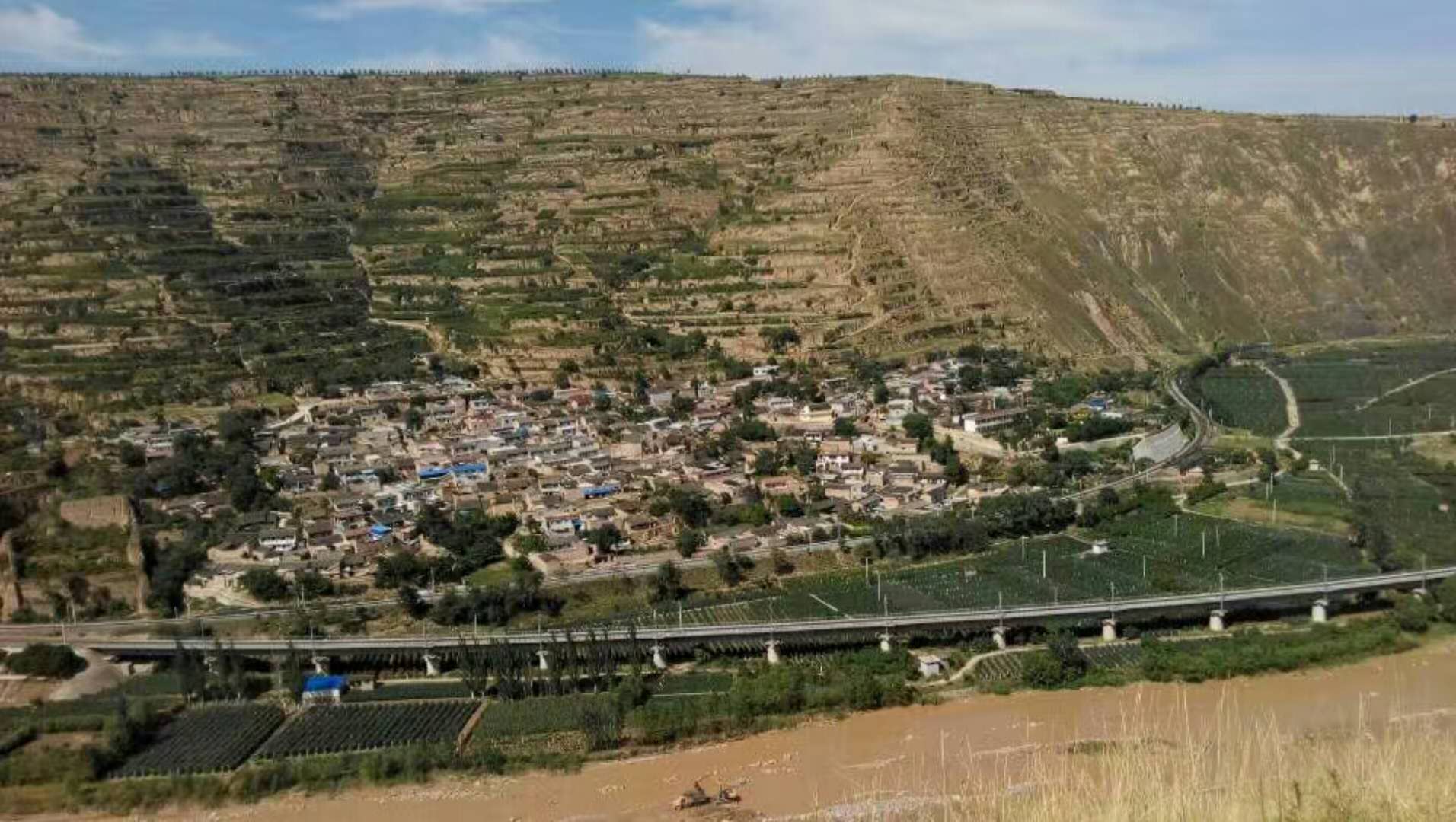 天水麦积区新阳镇全图图片