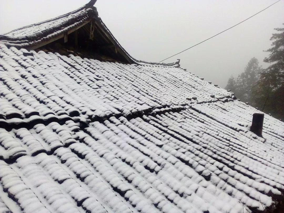 媲美苏杭,一觉醒来,泰顺就下雪了.