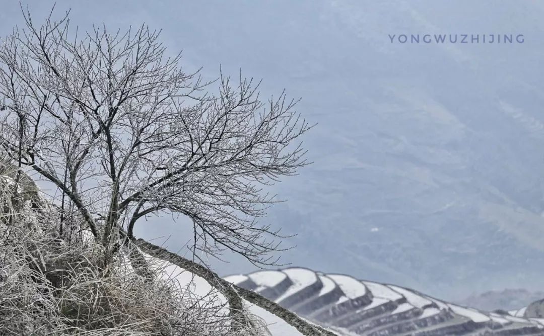 这个冬天,我想和你一起去龙脊梯田看雪!