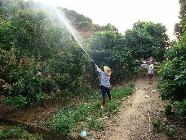 丙環唑和氟硅唑等應用指南