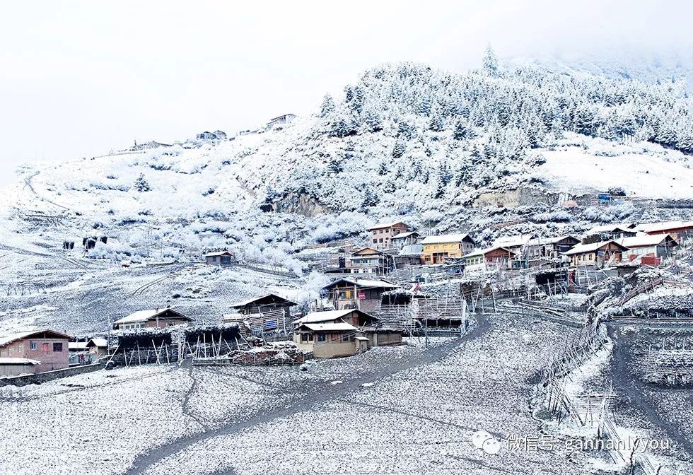 快看!2018年甘南最美的雪景写真在这儿!