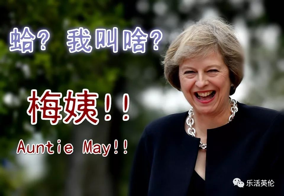咱首相有个中文外号叫梅姨auntie may? 腐国网友全都沸腾了