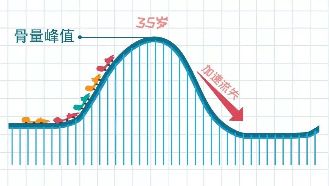 從青春期起至35歲,需要儘可能保存體內鈣質.