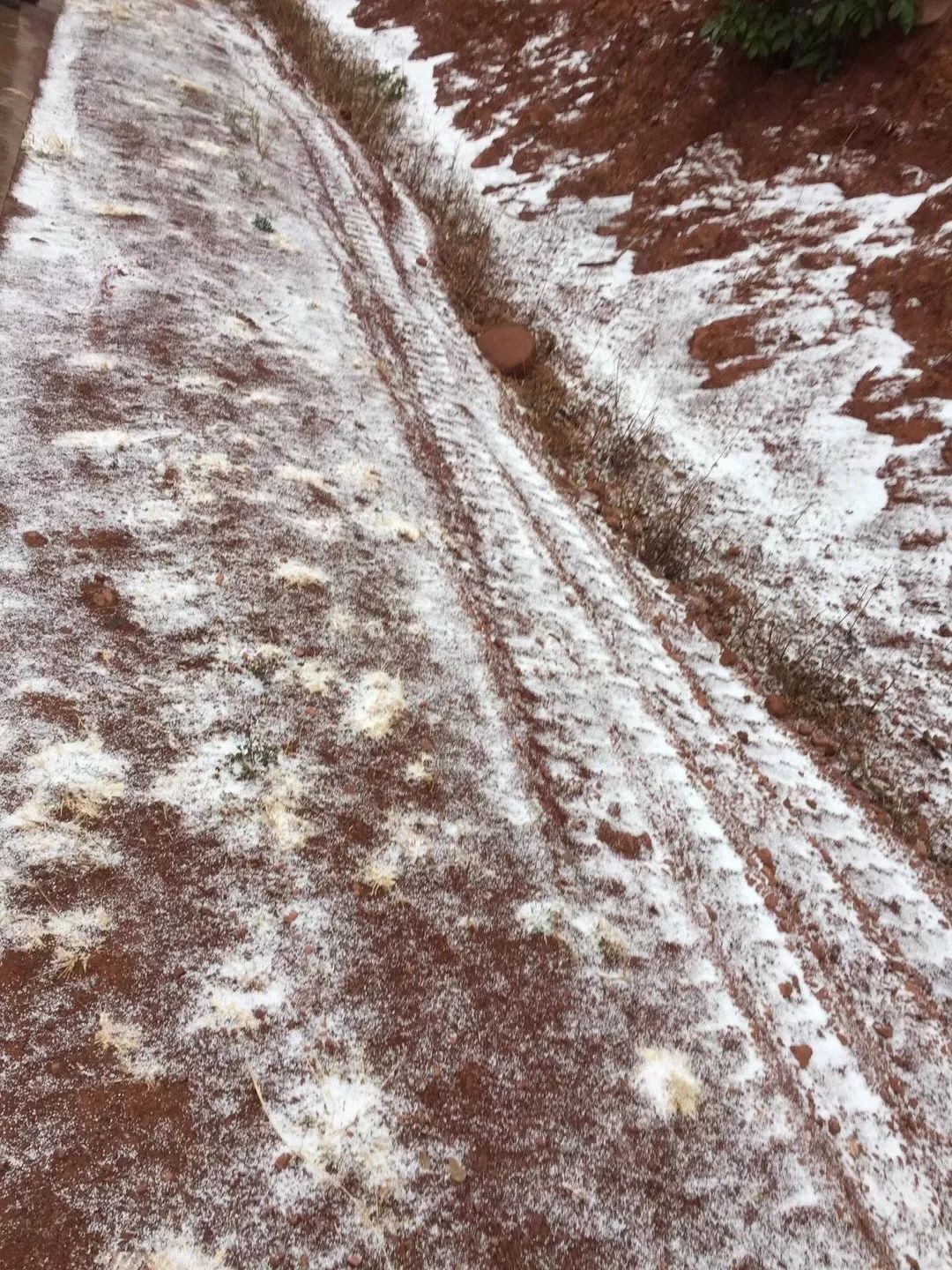 下雪了元谋人的朋友圈嗨了