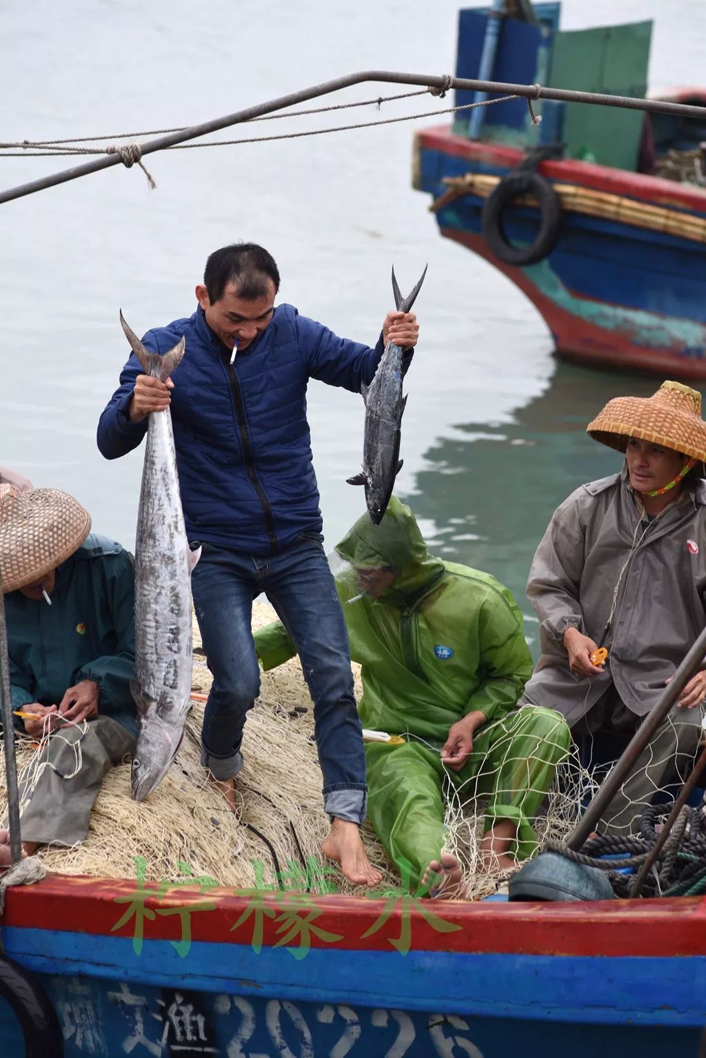 出海抓大鱼喽看看琼海渔民捕到的鱼有多大