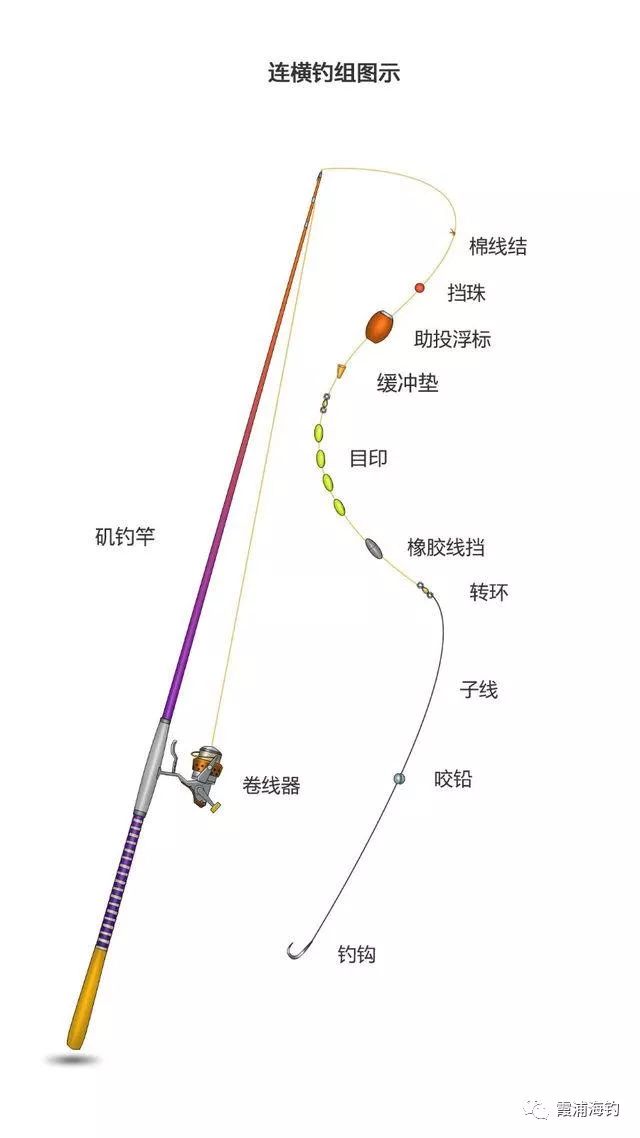 霞浦海钓·矶钓初学