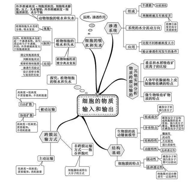 內環境與穩態一,現代生物進化理論今天給大家推送的是學習生物的思維